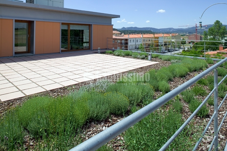 Edifici d'oficines, l'ecoedifici