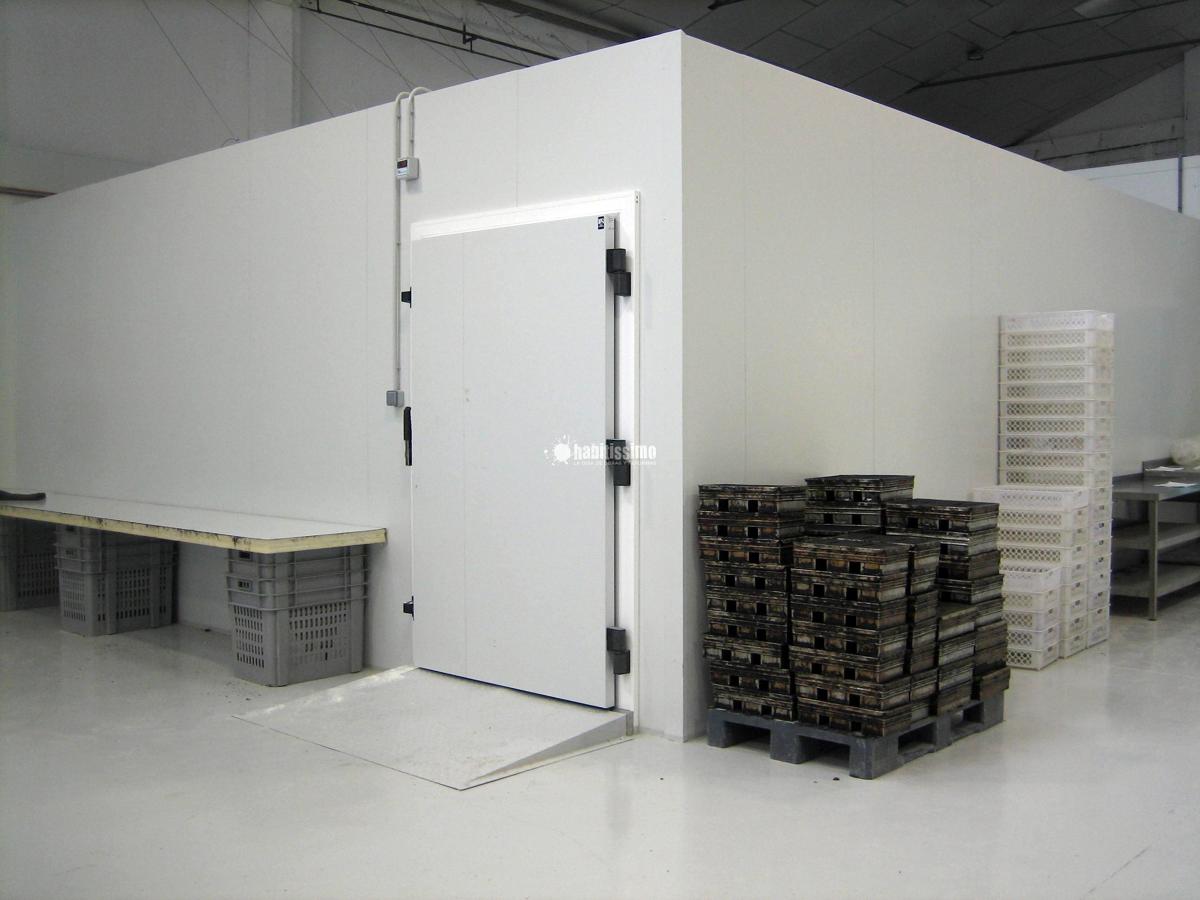 Realizacion  de proyecto integral de Rehabilitacion nave Industrial   