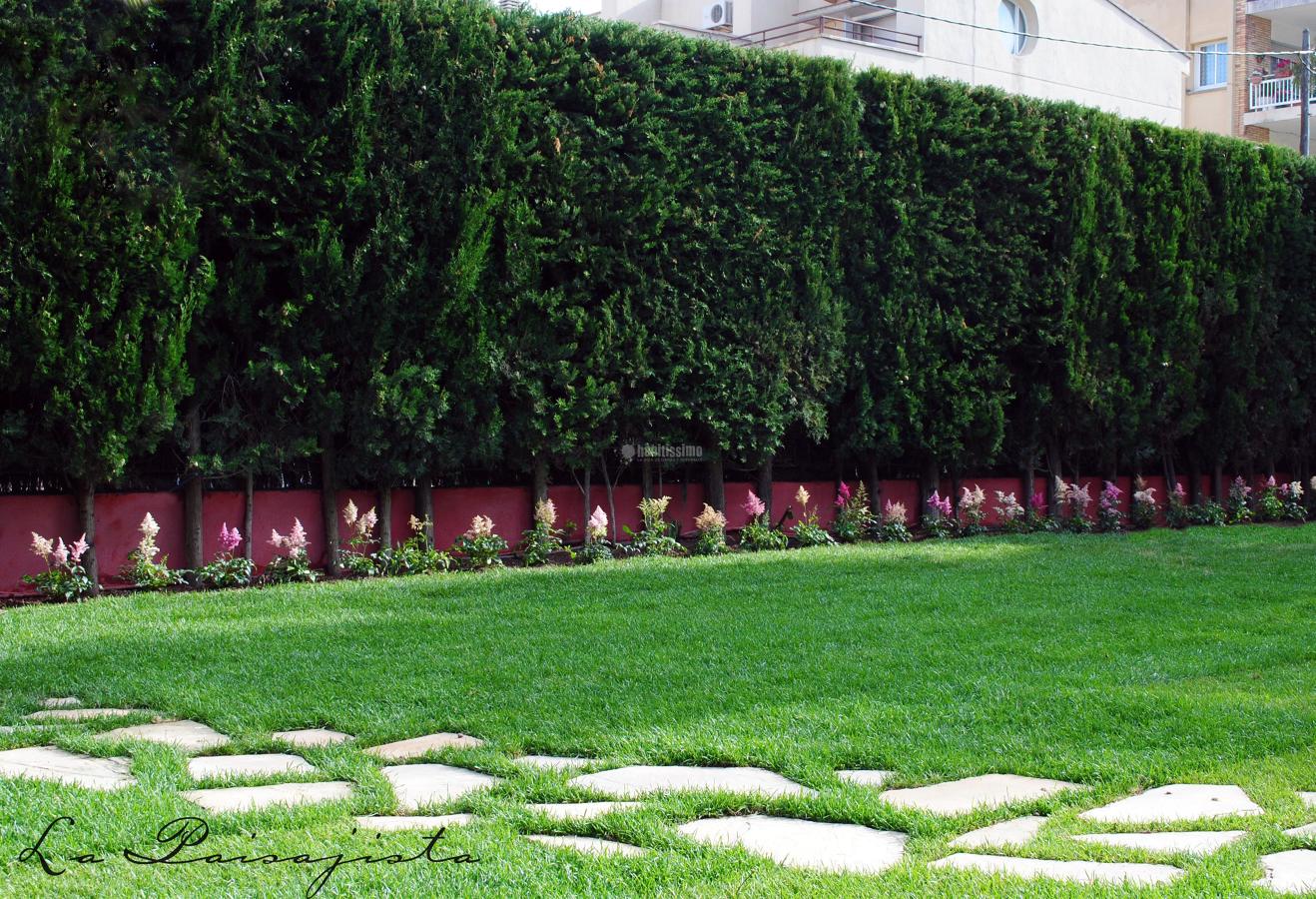 Recuperación de Jardín