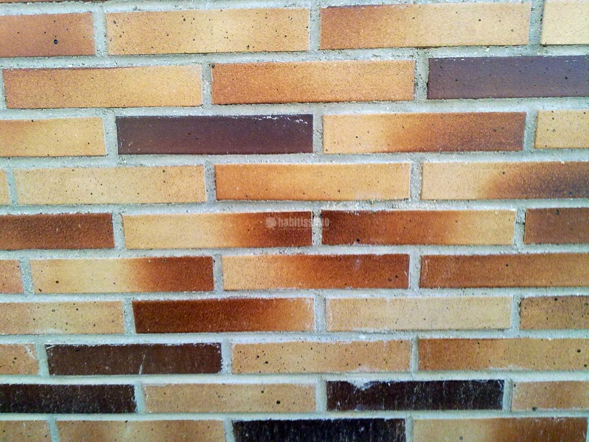 Solado Patio Interior y Realización De Jardineras