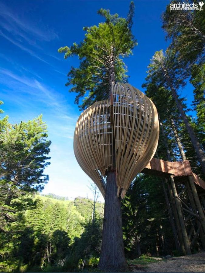 árbol con restaurante
