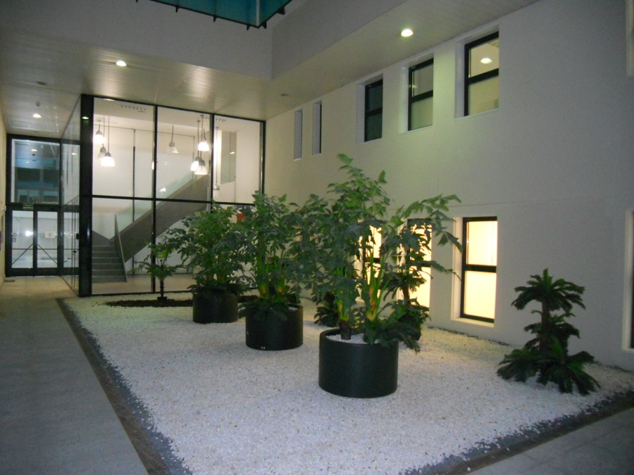 Acceso a espacio central de recepción