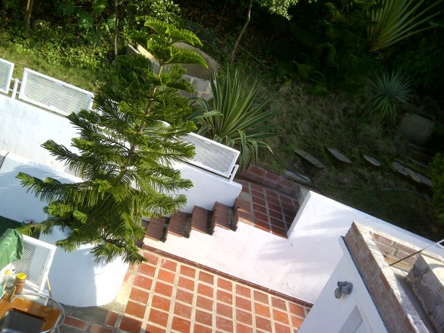 Acceso a jardin de quelonios