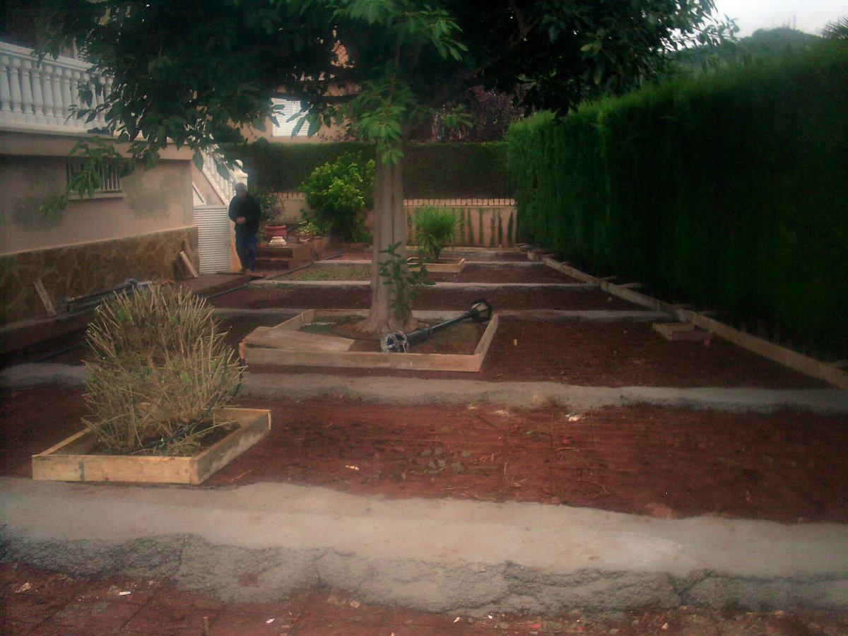 ACONDICIONAMIENTO TERRENO PARA PAVIMENTO Y DECORACION DE PLANTAS