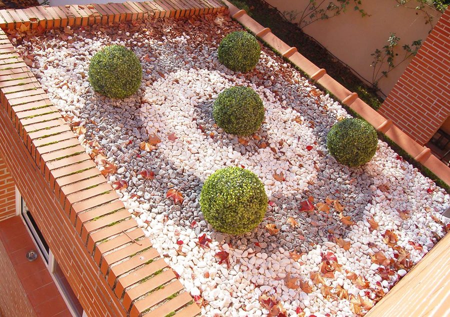 ADOSADO, Tres Cantos