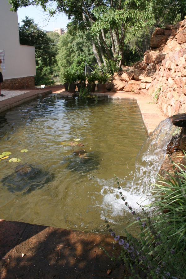 Alberca de filtracion ecológica