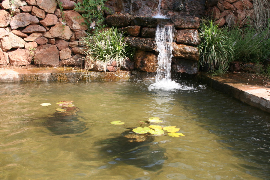 Alberca de filtración ecológica