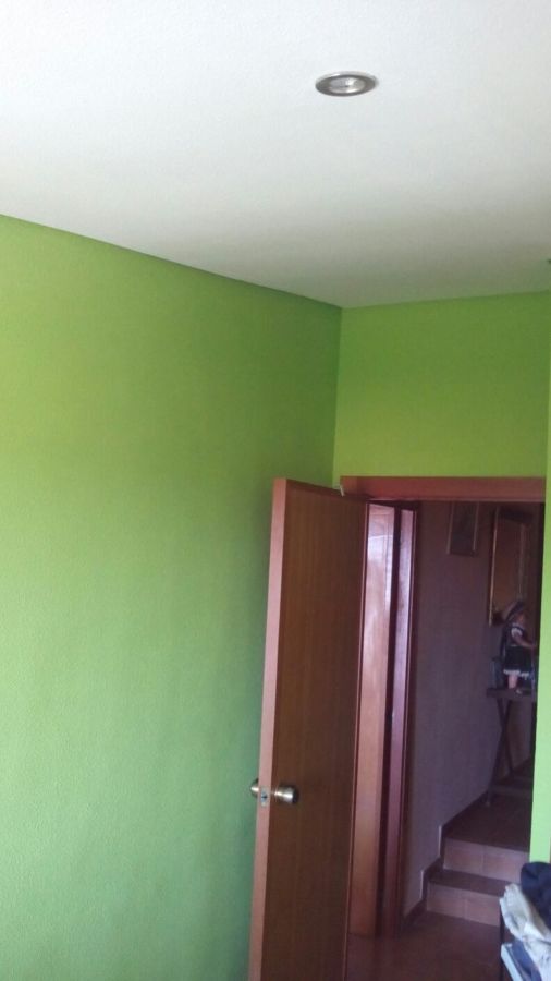 Alegría del verde pistacho