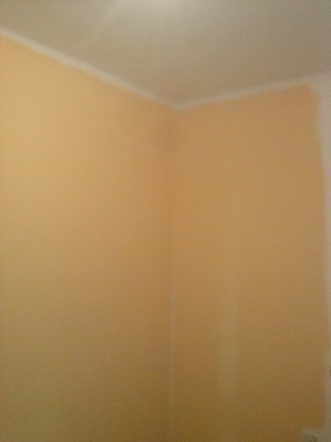 Alisar y pintar habitacion