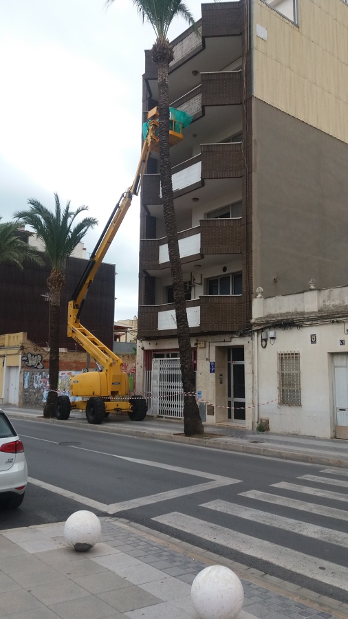 Ánimo ya tenemos dos plantas limpias