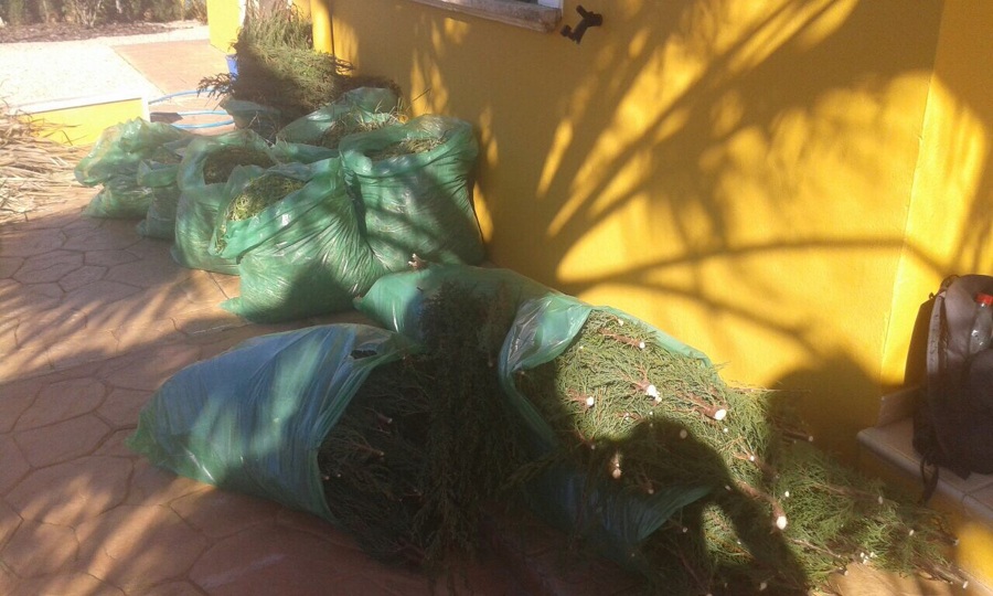 antes de la limpieza