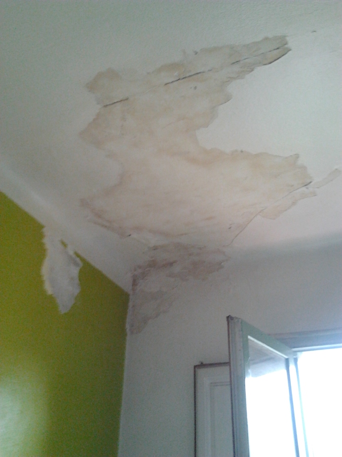 antes de la reforma techo