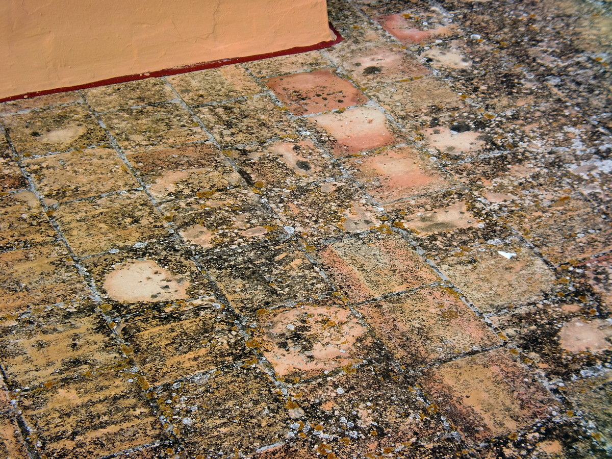 Aplicacion de caucho sobre cubierta plana