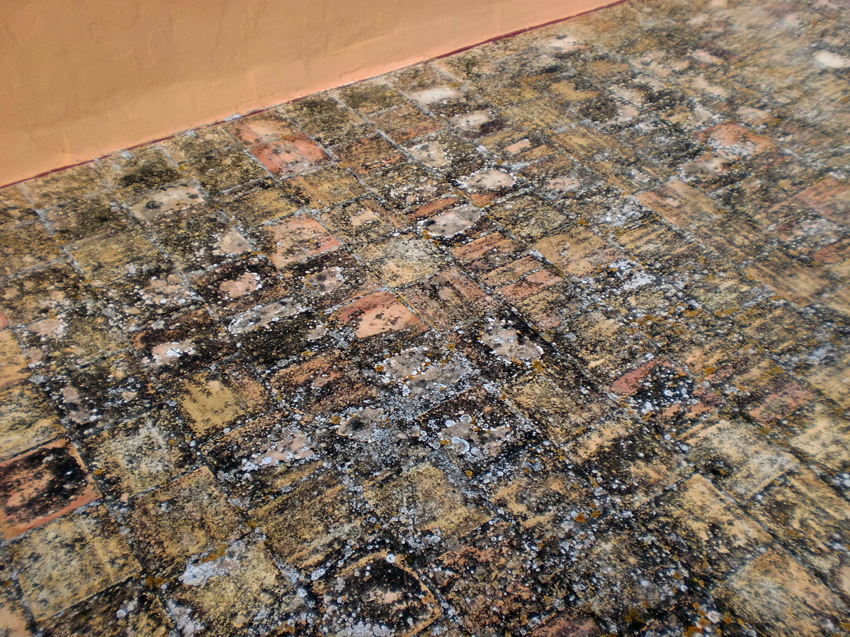 Aplicacion de caucho sobre cubierta plana