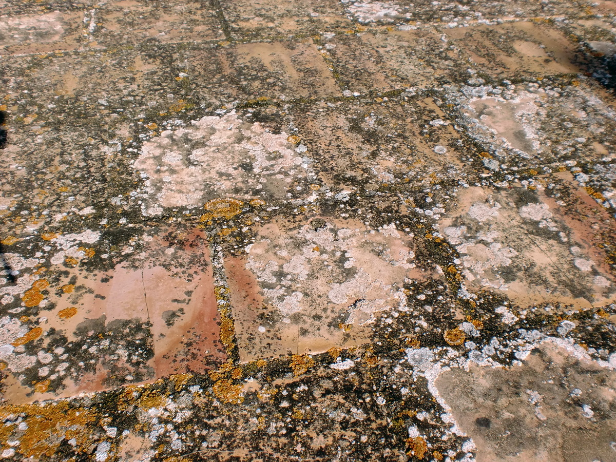 Aplicacion de caucho sobre cubierta plana