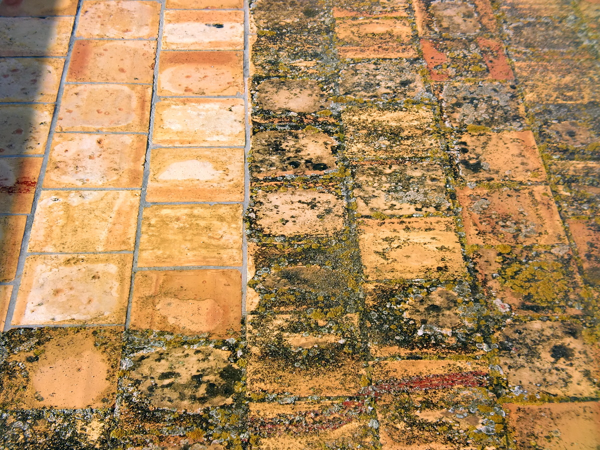 Aplicacion de caucho sobre cubierta plana