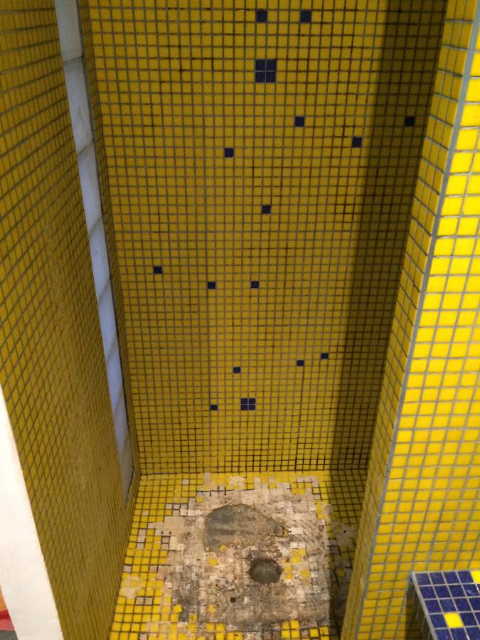 areglar plato de ducha de obra y alicatar todo el baño 