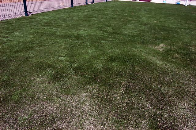 Arena antes del riego