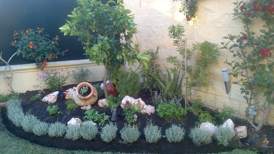 arómaticas y limonero