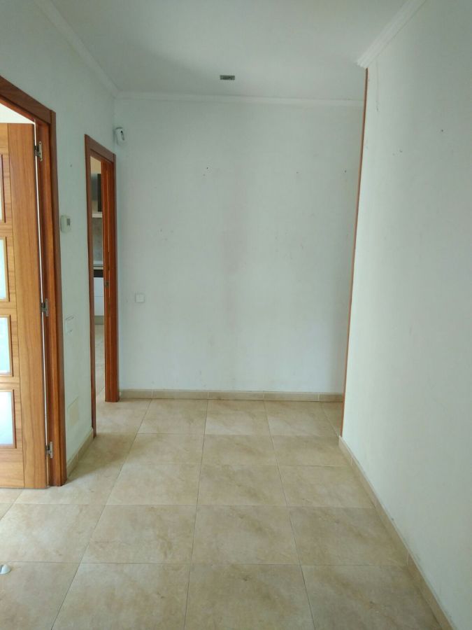 Arrancado de papel e imprimación base pintura