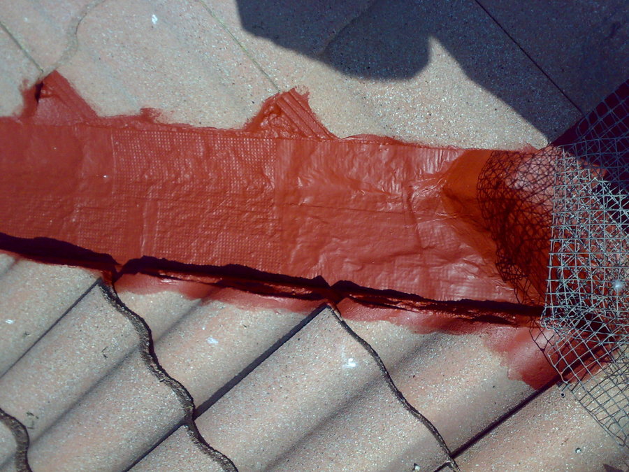 ARREGLO DE TELA ASFALTICA Y PINTADO DE TEJADOS