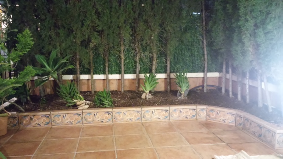 Asi era antes esta terraza y su jardinera