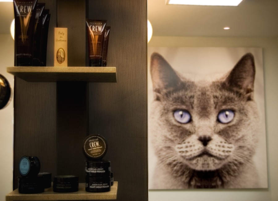 ASÍ HA QUEDADO Detalle de la barbería