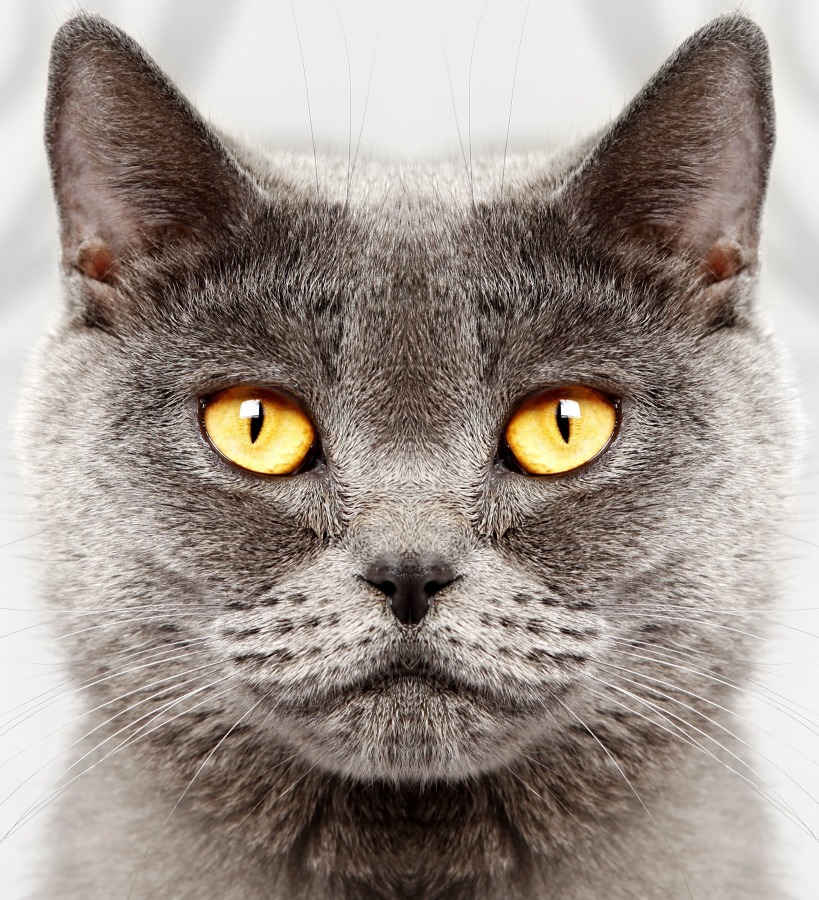 ASÍ HA QUEDADO Una imagen fuerte y sensible