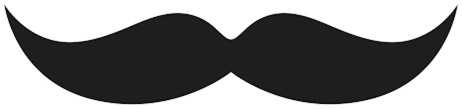 ASÍ LO HACEMOS Seleccionando bigote