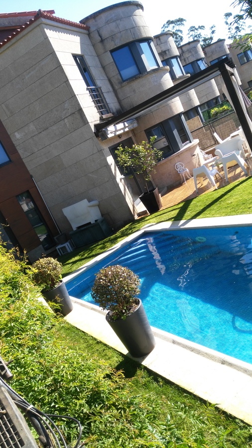 Aspecto de Hebbe efectados por la plaga