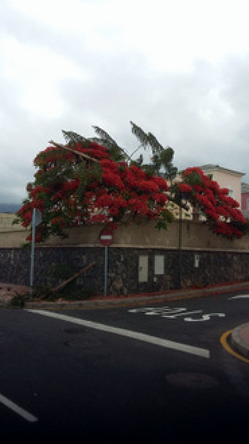 Aspecto del chalet antes de la reforma