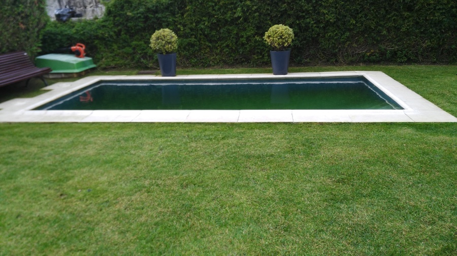AspectoCesped escaso de agua por fallo del riego