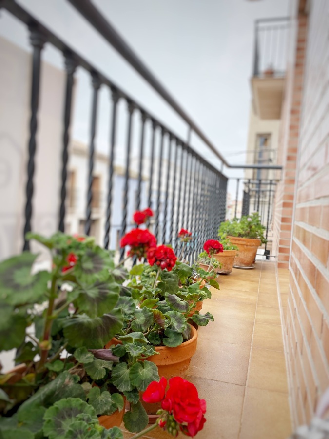Balcón salón/comedor