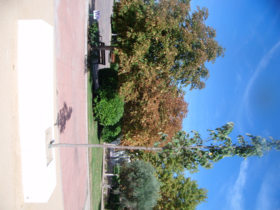 Banco jardinera integrada