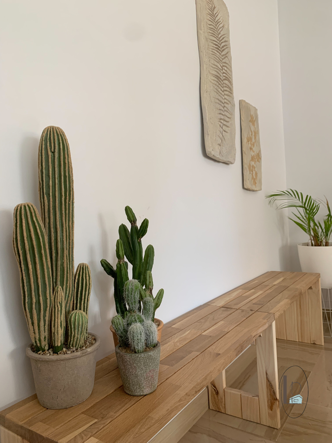 BANCO ROBLE CON CACTUS