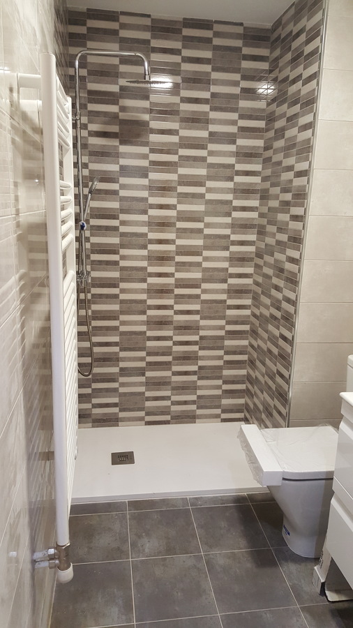 Baño Estado Reformado 2