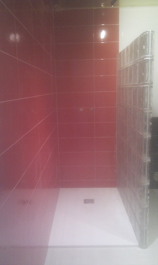 baño reformado guadalajara