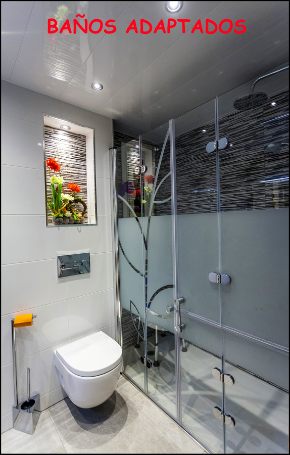 baños adaptados