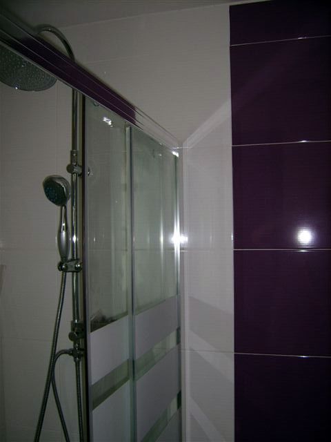 BAÑOS REFORMAS RECARP