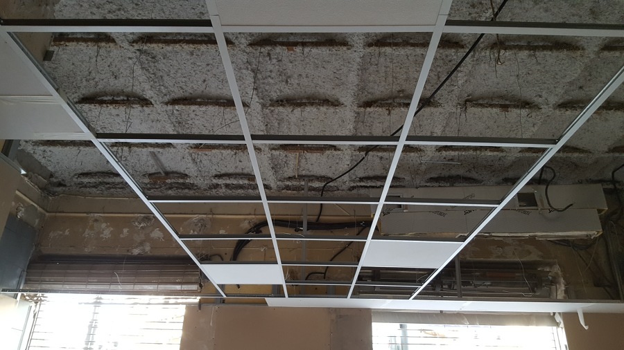 Blondi Plaza España