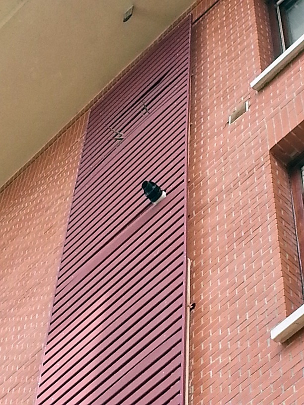 CALDERA DE ALTA MODULACION