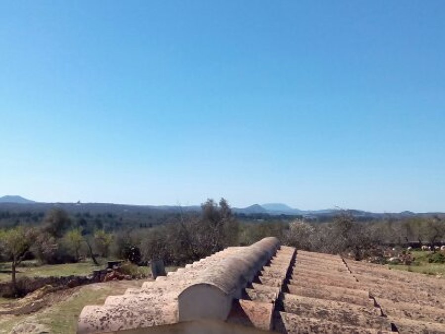 CAMBIO DE CUBIERTA EN FINCA RUSTICA