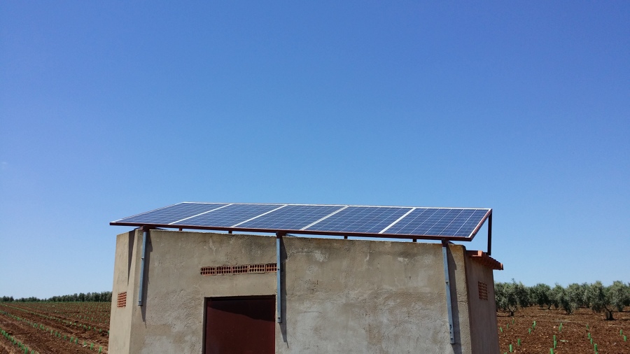 Caseta de riego solar directo para viñedo