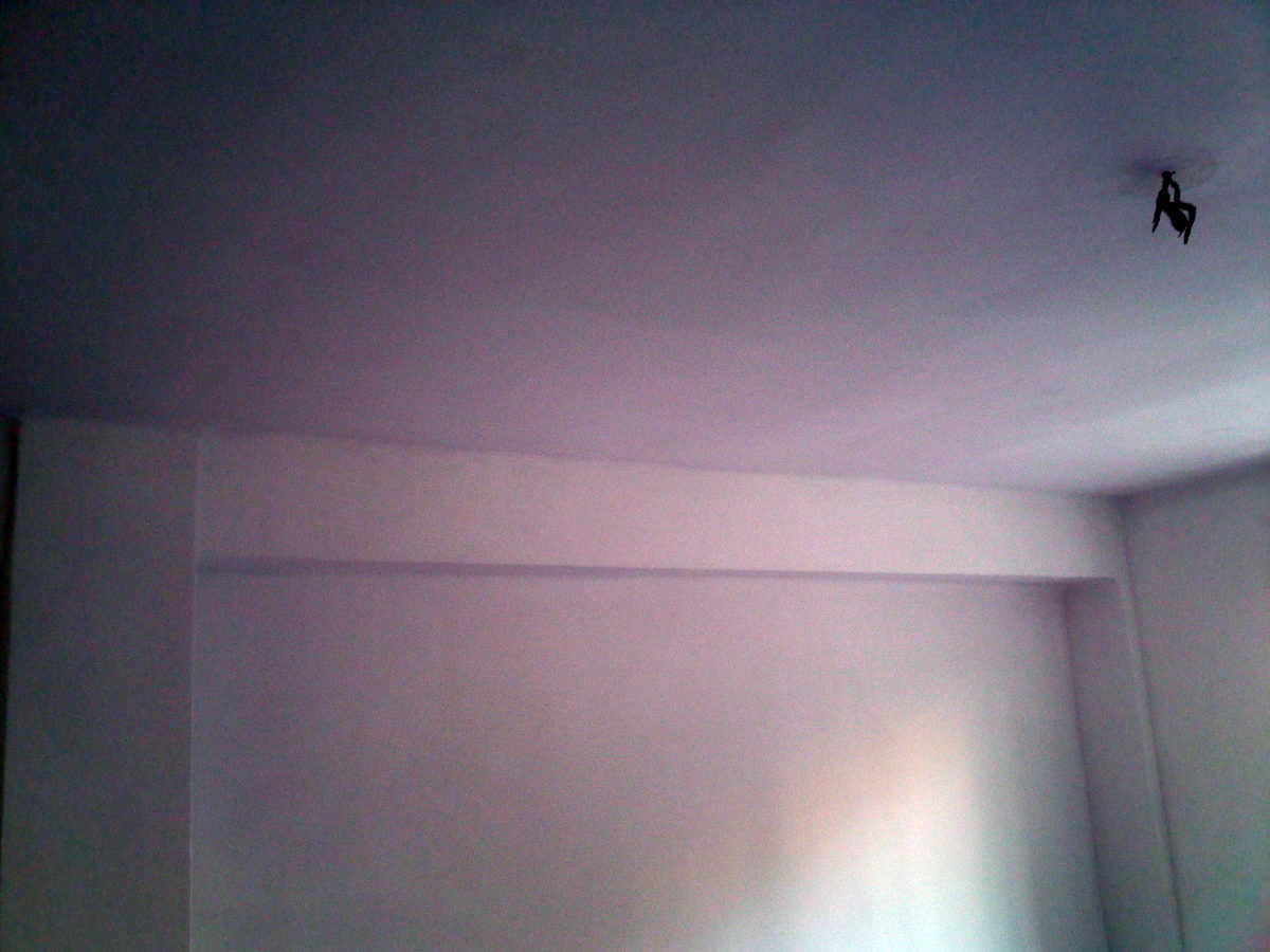 Techo y paredes tratado y pintado