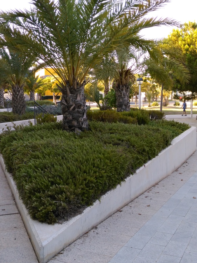 Centro de negocios Bulevar Parque