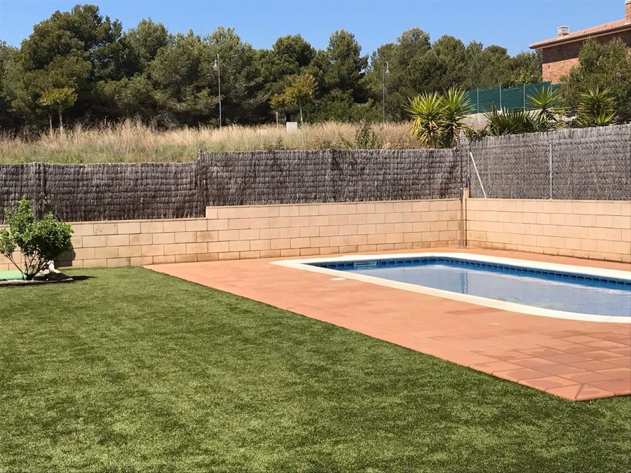 Césped de la parte trasera
