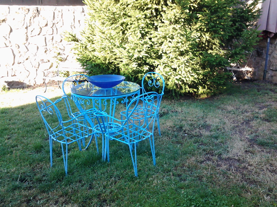 césped deteriorado en jardín de villafranca del castillo