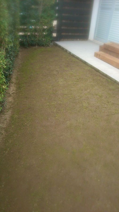 CESPED EN MAL ESTADO I JARDIN DESNIVELADO