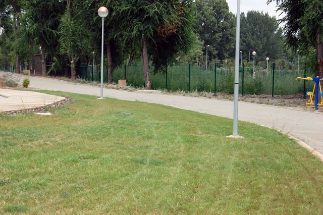 Césped en proceso de crecimiento