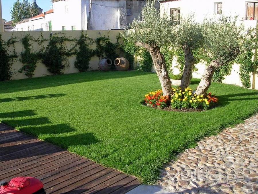 césped natural tepes